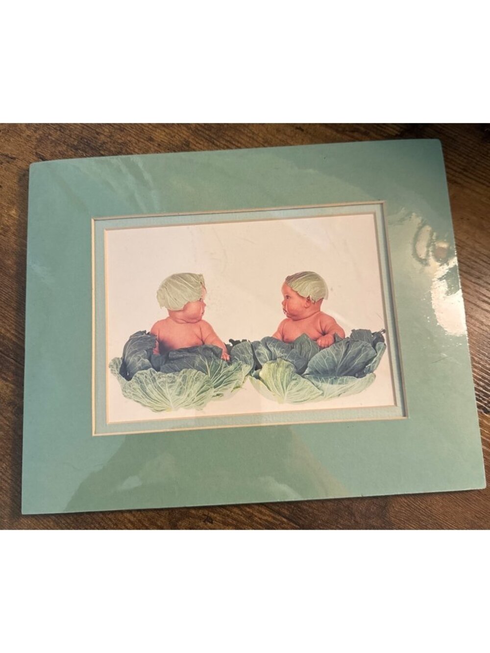NEW Anne Geddes Cabbage Kids Print Double Mat 1993